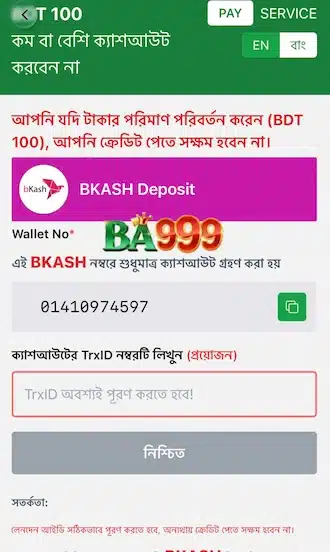 Open bank or e-wallet app on your phone to complete payment